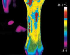 กล้องถ่ายภาพความร้อน Flir