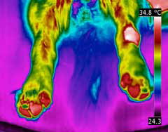 กล้องถ่ายภาพความร้อน Flir